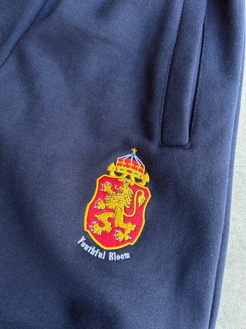UB NAVY BLUE SWEATS
