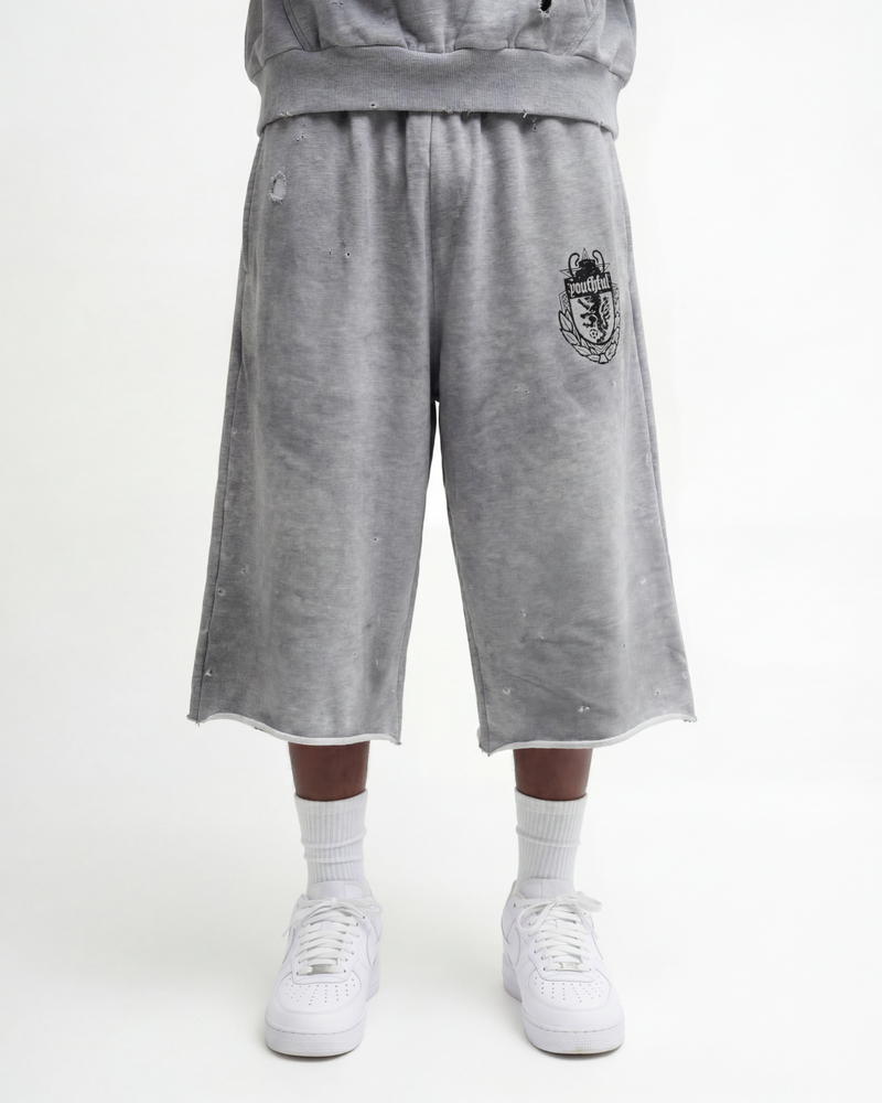 CHAMPION WASHED GREY SHORTS