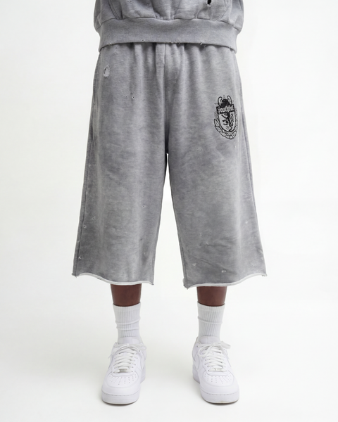 CHAMPION WASHED GREY SHORTS